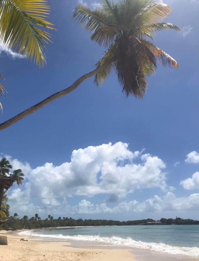 סנט-לוס Couleur Caraibes-Cocobeach Martinique Pierre Et Vacances מראה חיצוני תמונה
