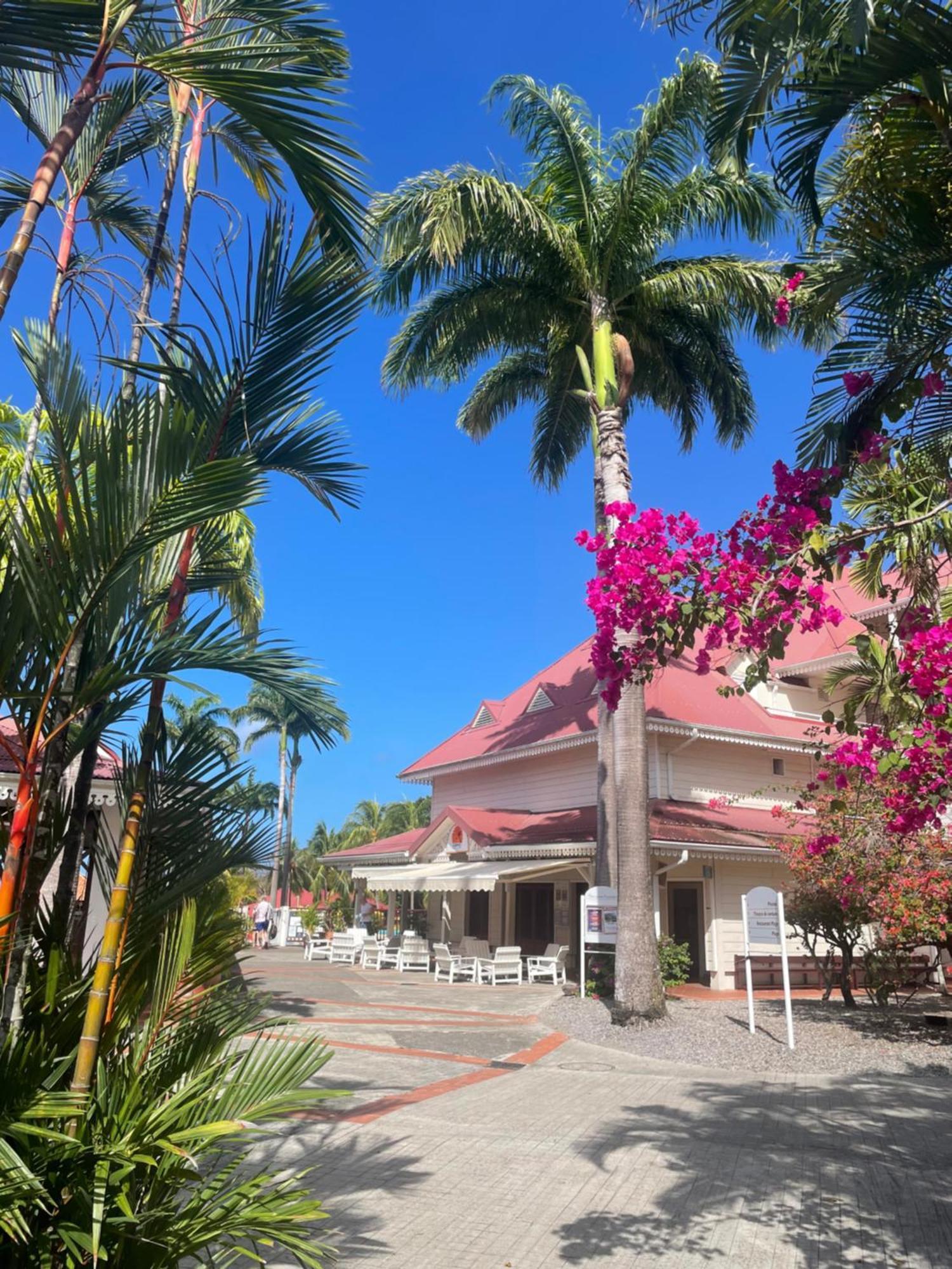סנט-לוס Couleur Caraibes-Cocobeach Martinique Pierre Et Vacances מראה חיצוני תמונה