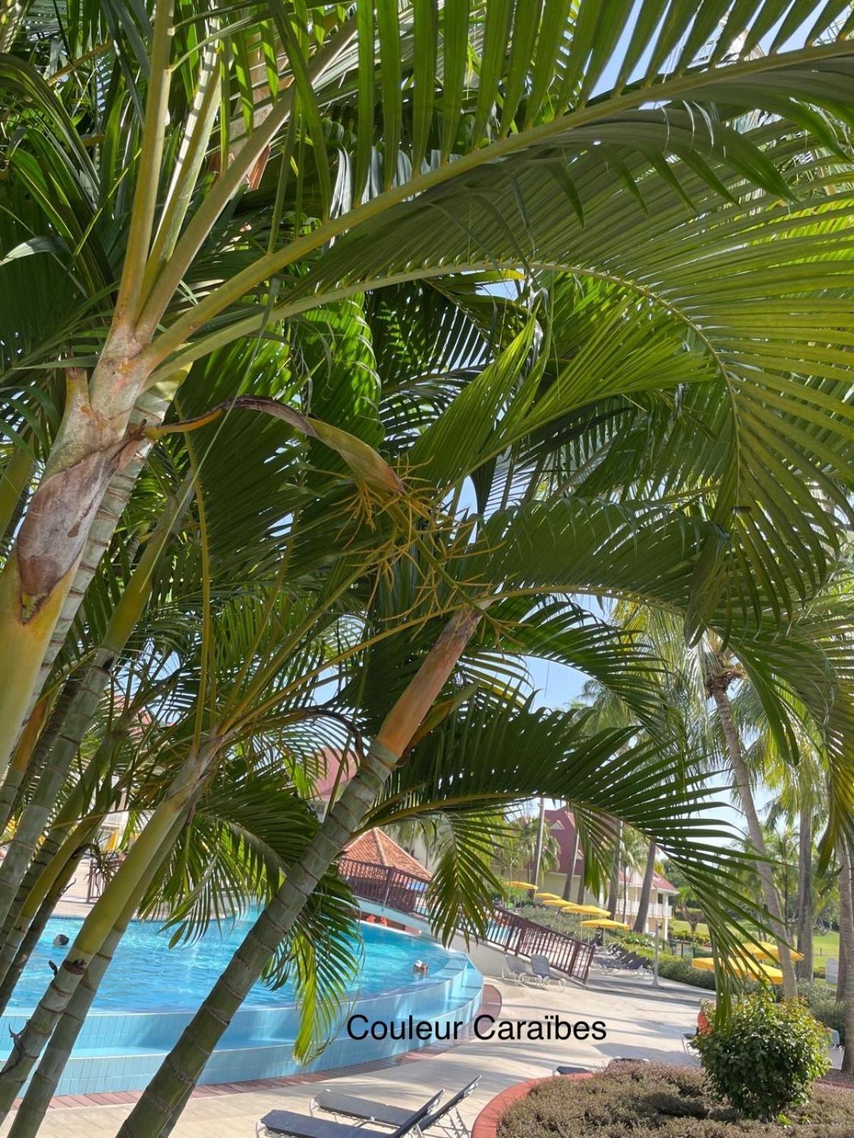 סנט-לוס Couleur Caraibes-Cocobeach Martinique Pierre Et Vacances מראה חיצוני תמונה