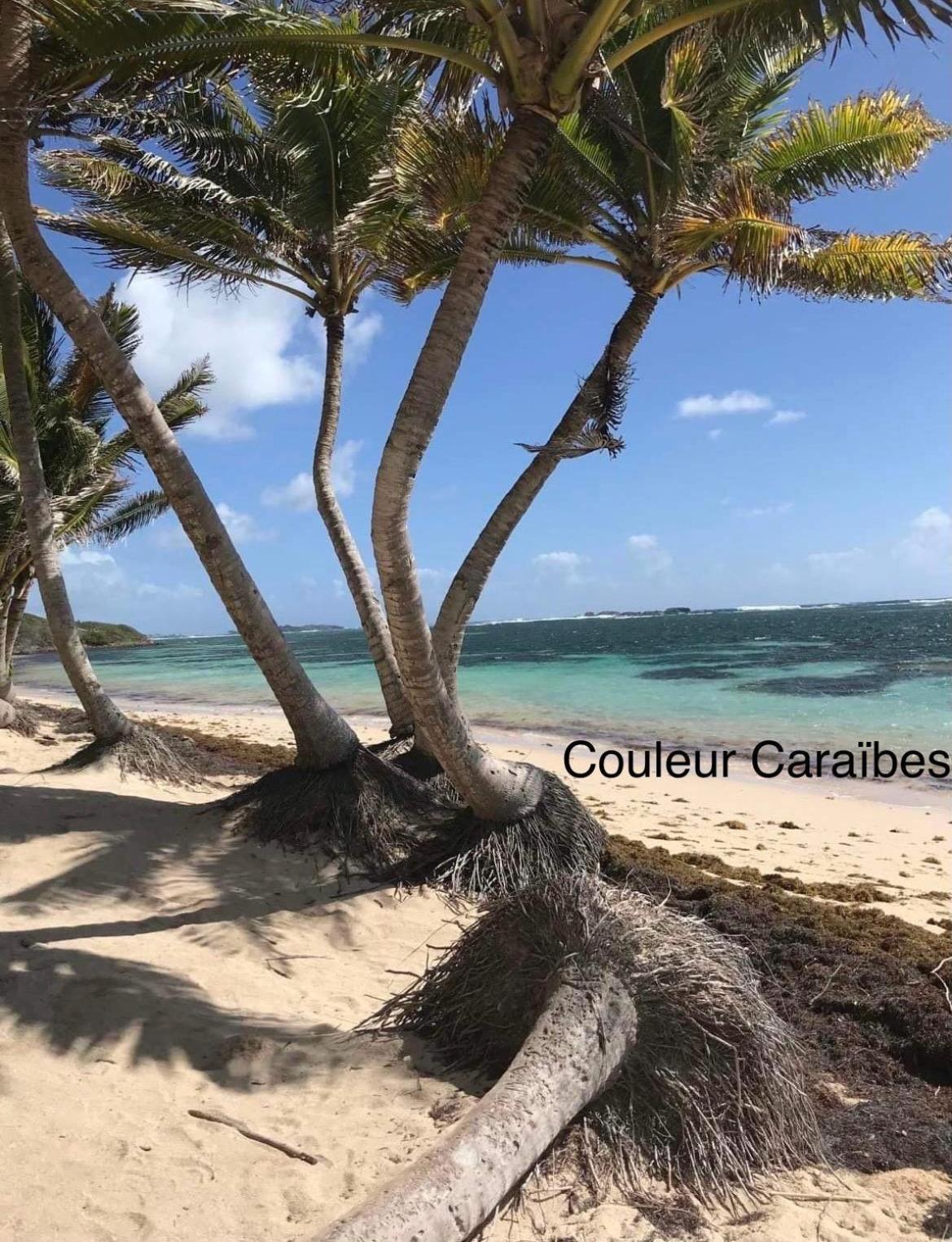 סנט-לוס Couleur Caraibes-Cocobeach Martinique Pierre Et Vacances מראה חיצוני תמונה